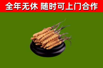 云城回收冬虫夏草