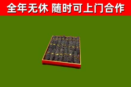 云城回收海参